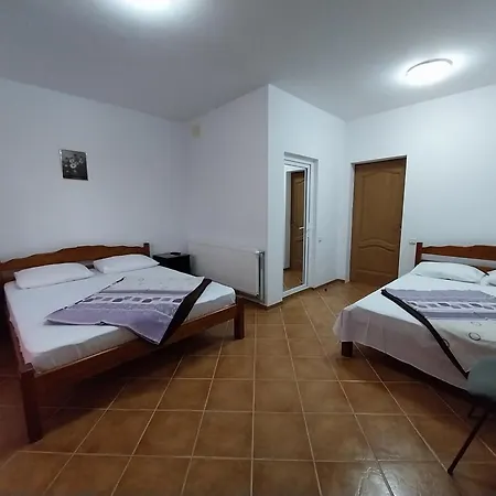 Lucian Gazde/Camere de închiriat *