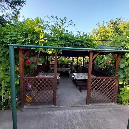 Homestay Vila Lucian *